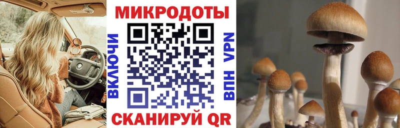 купить  сайты  Правдинск  Галлюциногенные грибы Magic Shrooms 